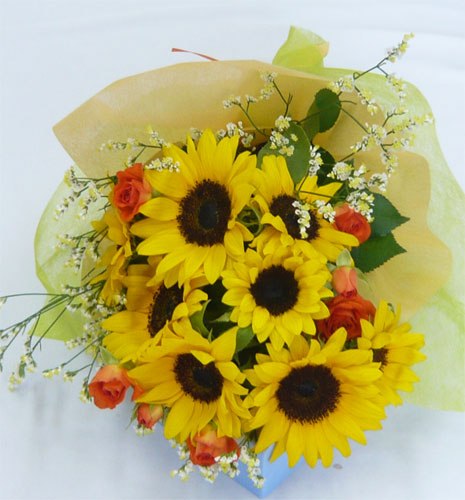 ����ԁ@���ԉԑ�/�Ђ܂��u�[�P�l